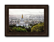 Load image into Gallery viewer, Oakland 07