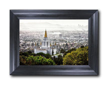 Load image into Gallery viewer, Oakland 07