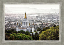 Load image into Gallery viewer, Oakland 07