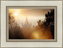 Load image into Gallery viewer, Oakland 11