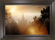 Load image into Gallery viewer, Oakland 11