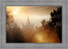 Load image into Gallery viewer, Oakland 11