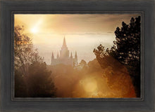Load image into Gallery viewer, Oakland 11