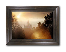 Load image into Gallery viewer, Oakland 11