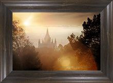 Load image into Gallery viewer, Oakland 11
