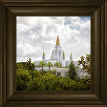 Load image into Gallery viewer, Oakland Side