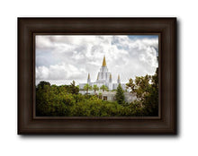 Load image into Gallery viewer, Oakland Side