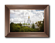 Load image into Gallery viewer, Oakland Side