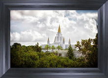Load image into Gallery viewer, Oakland Side