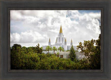 Load image into Gallery viewer, Oakland Side