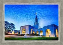 Load image into Gallery viewer, Sacramento 04