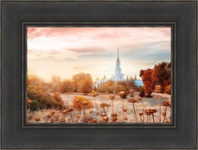 Load image into Gallery viewer, Sacramento 06