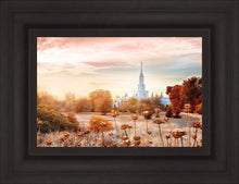Load image into Gallery viewer, Sacramento 06