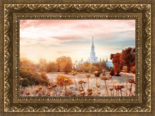 Load image into Gallery viewer, Sacramento 06