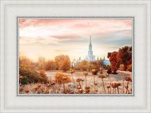 Load image into Gallery viewer, Sacramento 06