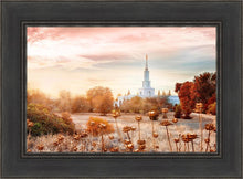 Load image into Gallery viewer, Sacramento 06