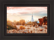 Load image into Gallery viewer, Sacramento 06