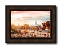 Load image into Gallery viewer, Sacramento 06