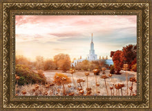 Load image into Gallery viewer, Sacramento 06