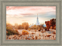 Load image into Gallery viewer, Sacramento 06