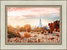 Load image into Gallery viewer, Sacramento 06