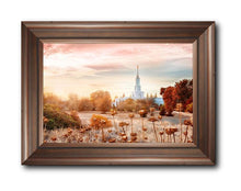 Load image into Gallery viewer, Sacramento 06