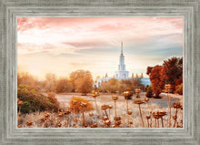 Load image into Gallery viewer, Sacramento 06
