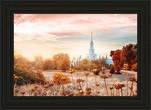 Load image into Gallery viewer, Sacramento 06