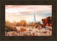Load image into Gallery viewer, Sacramento 06