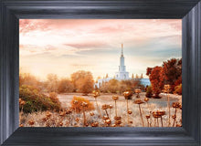Load image into Gallery viewer, Sacramento 06