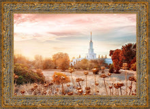Load image into Gallery viewer, Sacramento 06