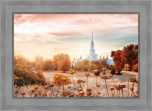 Load image into Gallery viewer, Sacramento 06