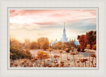 Load image into Gallery viewer, Sacramento 06
