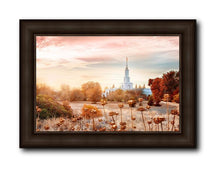 Load image into Gallery viewer, Sacramento 06