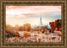 Load image into Gallery viewer, Sacramento 06