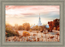 Load image into Gallery viewer, Sacramento 06