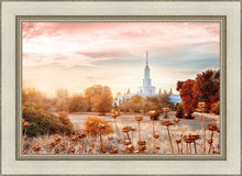 Load image into Gallery viewer, Sacramento 06
