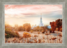 Load image into Gallery viewer, Sacramento 06