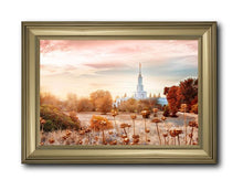 Load image into Gallery viewer, Sacramento 06