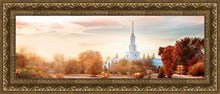 Load image into Gallery viewer, Sacramento 06