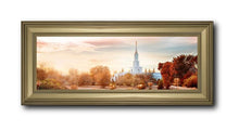 Load image into Gallery viewer, Sacramento 06