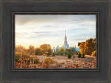 Load image into Gallery viewer, Sacramento 07