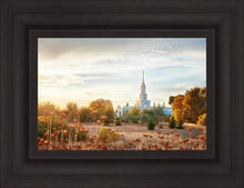Load image into Gallery viewer, Sacramento 07