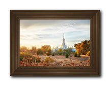 Load image into Gallery viewer, Sacramento 07