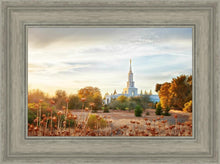 Load image into Gallery viewer, Sacramento 07