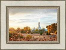 Load image into Gallery viewer, Sacramento 07