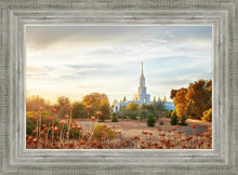 Load image into Gallery viewer, Sacramento 07