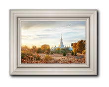 Load image into Gallery viewer, Sacramento 07