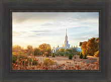 Load image into Gallery viewer, Sacramento 07