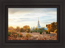 Load image into Gallery viewer, Sacramento 07